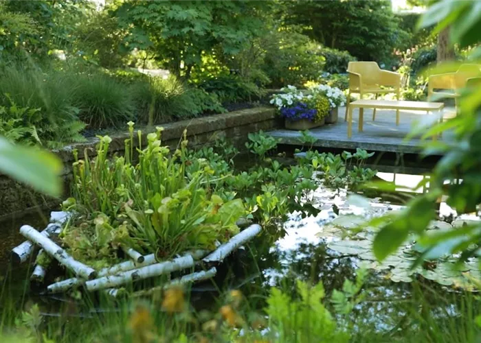 Gartengestaltung - Waldgarten