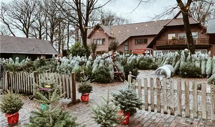 Lueske_Frischehof_Gartencenter002.JPG