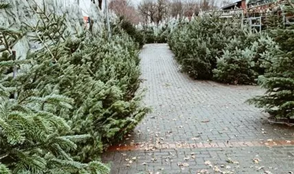 Lueske_Frischehof_Gartencenter004.JPG