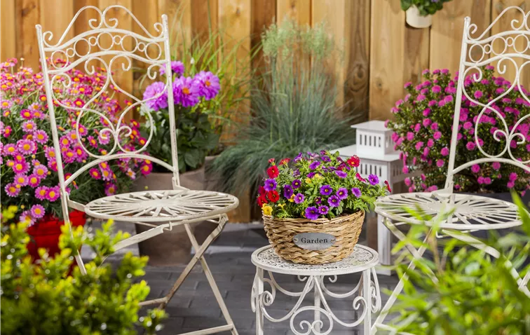Terrasse mit bunten Sommerblumen