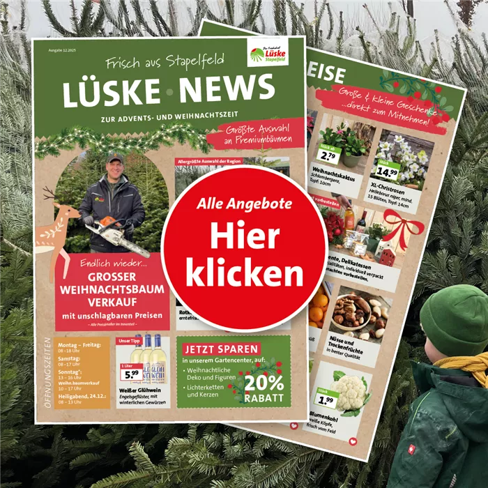 Weihnachtsbaum-Flyer • Dezember 2025