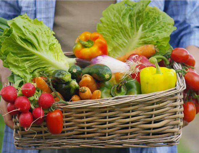 Obst- u. Gemüsekörbe