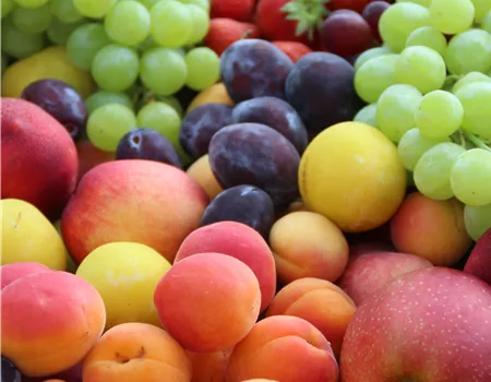 Obstkorb/Gemüsekorb