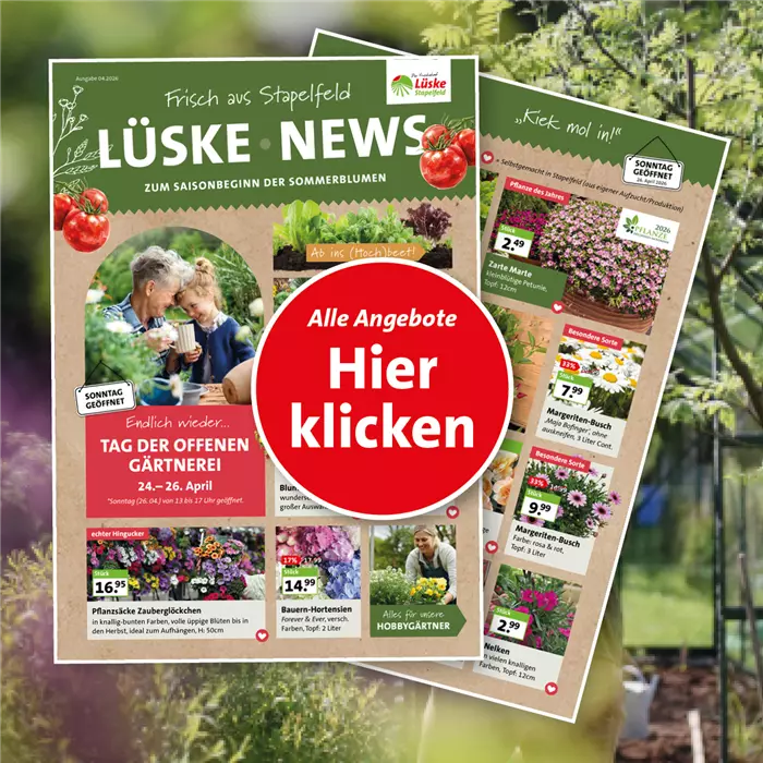 Frühlings-Flyer • April 2026