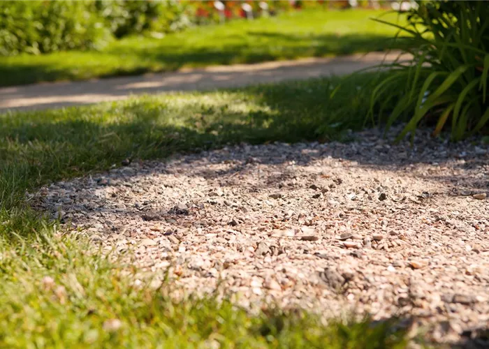 Pflastersteine und Wege – Richtige Pflege bringt lange Freude